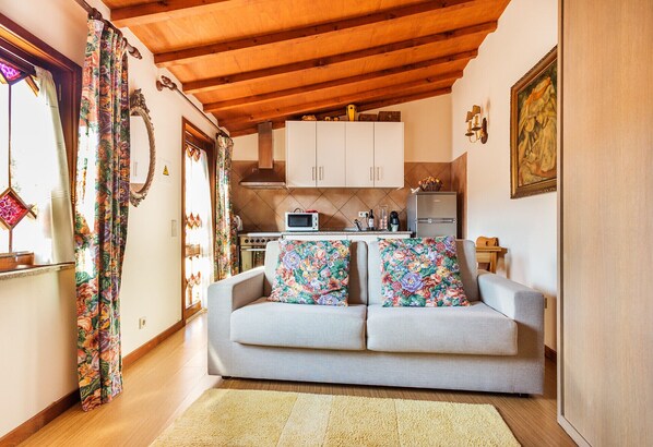 A cozy living room with a sofa, a kitchen area with cabinets and appliances, and a wooden ceiling.