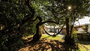 Eine Hängematte unter einem Baum in einem Innenhof, im Hintergrund sind Gebäude zu sehen.