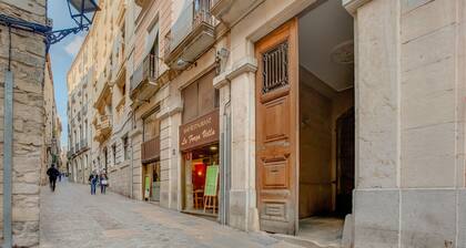 Tyylikäs huoneisto historiallisessa keskustassa