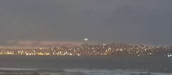 Daily Lease L Serena