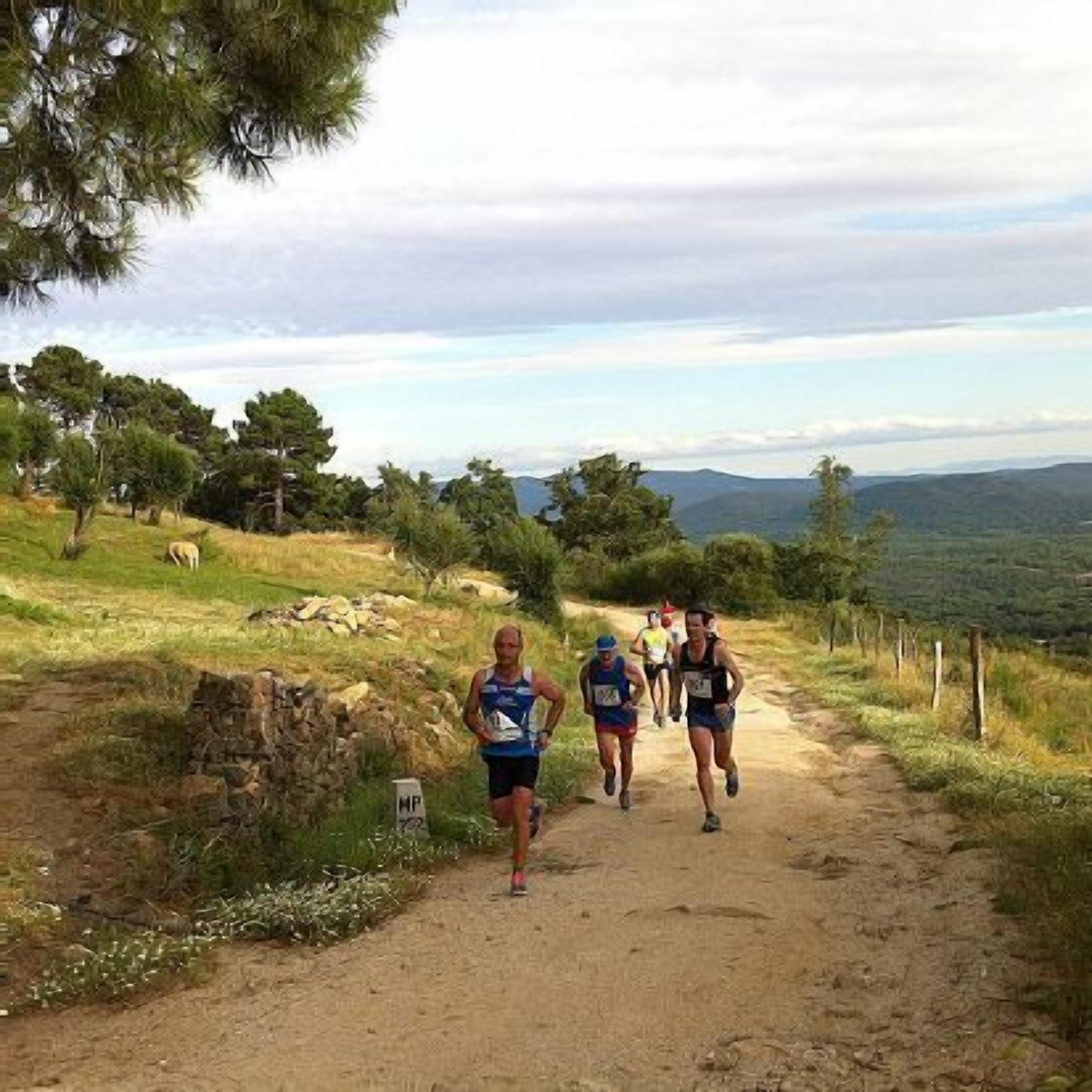 Un sendero de tierra con corredores, rodeado de árboles y un muro de piedra.