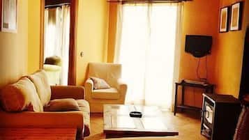 Televisor, llar de foc, reproductor de DVD i llibres