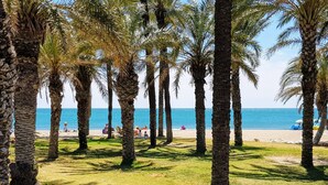 A beach with palm trees and a clear view of the ocean.