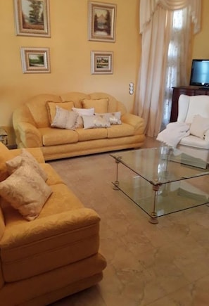 Una televisión, una chimenea, libros