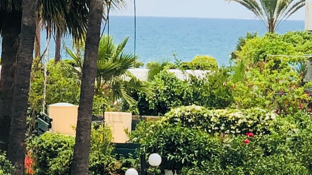 Un jardín exuberante con palmeras y follaje denso, vista despejada al mar y un edificio con fachada color beige.