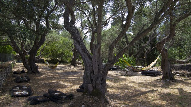 A hammock between trees in a forested area with logs and rocks on the ground. - Perfect for families or couples looking for privacy (Paxos)