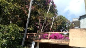 Uma ponte de concreto com guarda-corpo metálico, rodeada por vegetação exuberante e flores cor-de-rosa.