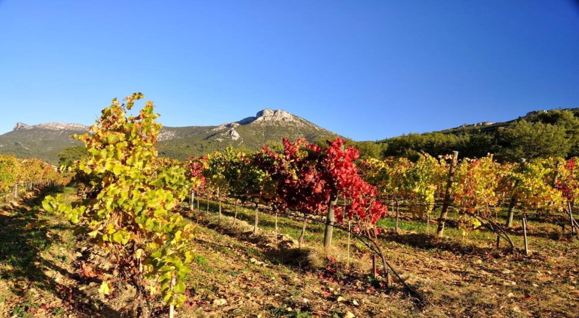 Bed and breakfast of charm for 2 people in Provencal country house