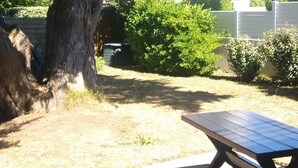 A backyard with a picnic table, a large tree, and a building with a blue balcony.