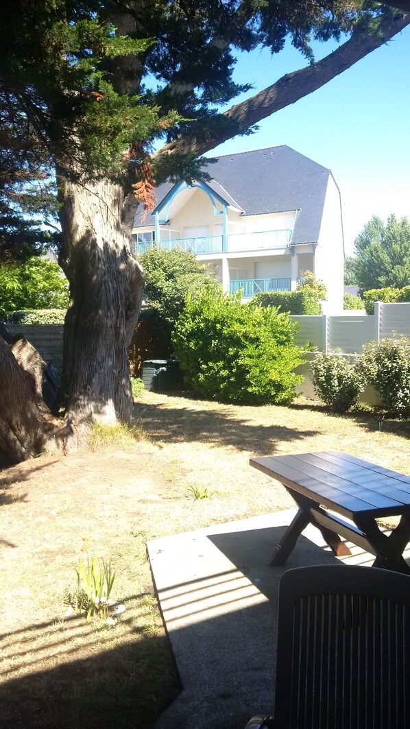 A backyard with a picnic table, a large tree, and a building with a blue balcony.