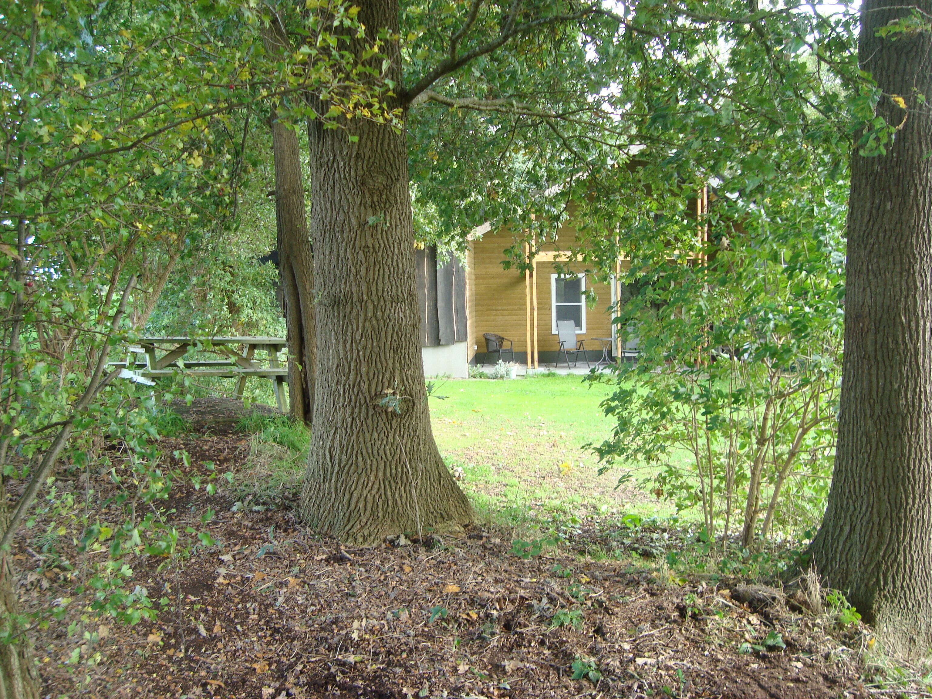 A rustic cabin with a wooden deck and a picnic table, surrounded by dense trees and a grassy yard.