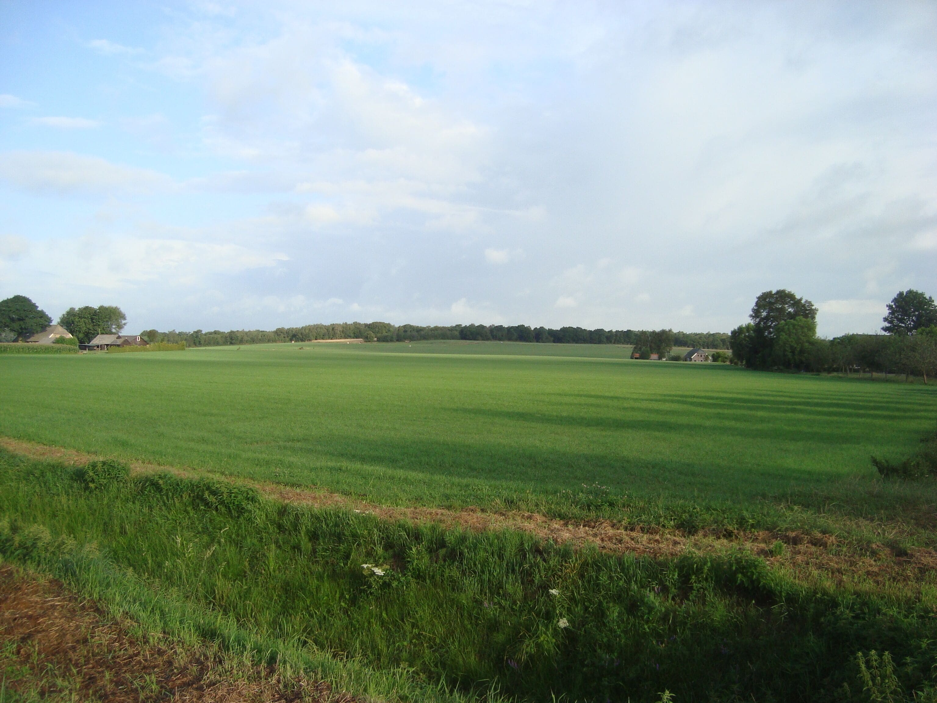 Ein weites, grünes Feld mit vereinzelten Gebäuden in der Ferne.