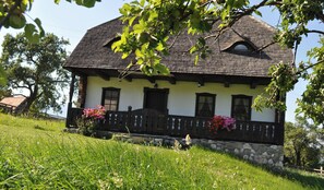 Eksteriør