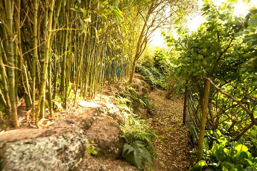 Une maison dans les bois