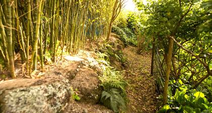 Une maison dans les bois