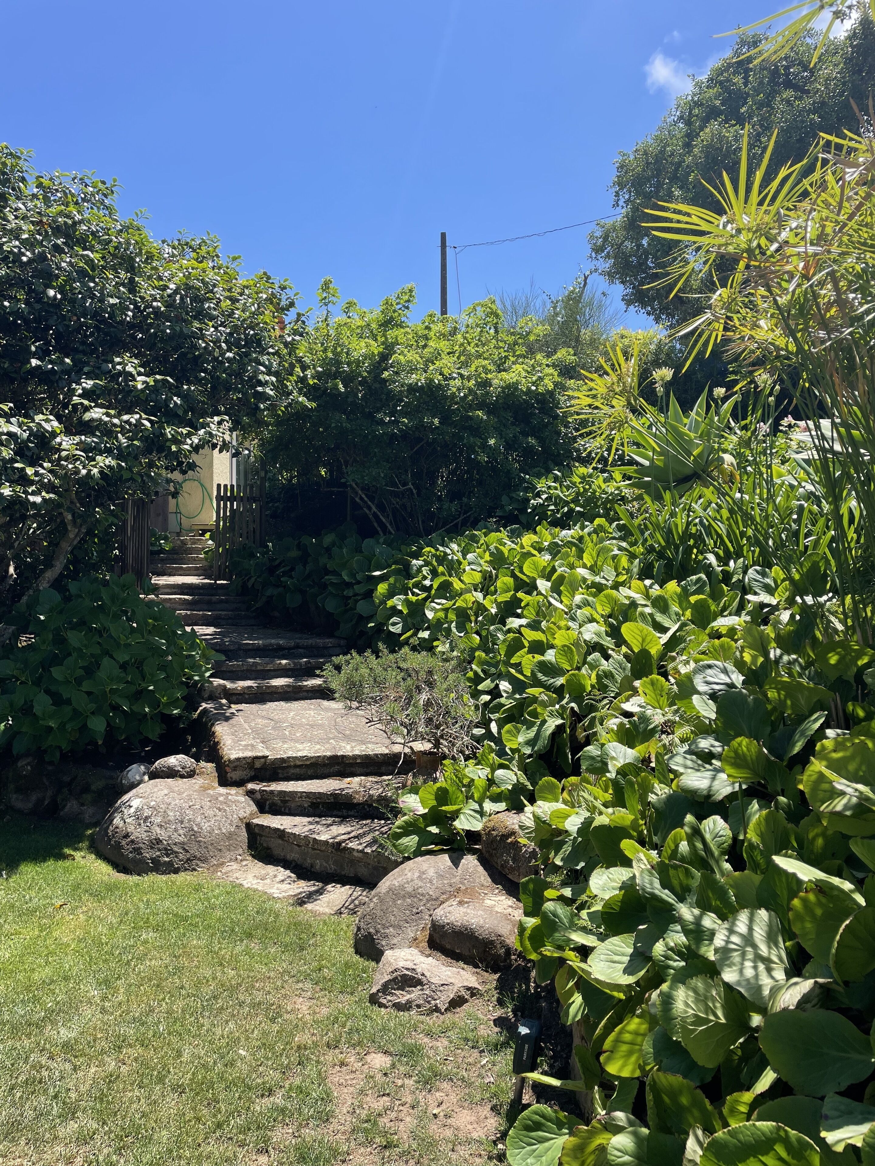 Un sentier de jardin bordé de marches en pierre, entouré d’une végétation luxuriante et surplombé d’un ciel bleu clair.