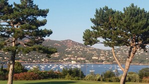 Un paysage côtier comprenant un terrain de golf, des pins et une marina avec des bateaux.