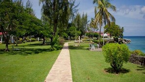 A pathway leading to a beach area with palm trees and a clear view of the ocean.