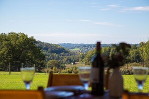 Ein Tisch mit Weingläsern und Flaschen, vor einer üppigen, grünen Landschaft mit Hügeln und Bäumen.