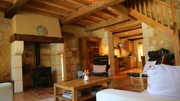 Televisión, chimenea, reproductor de DVD y tenis de mesa