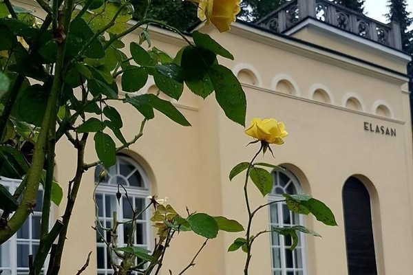 Vila Elasan