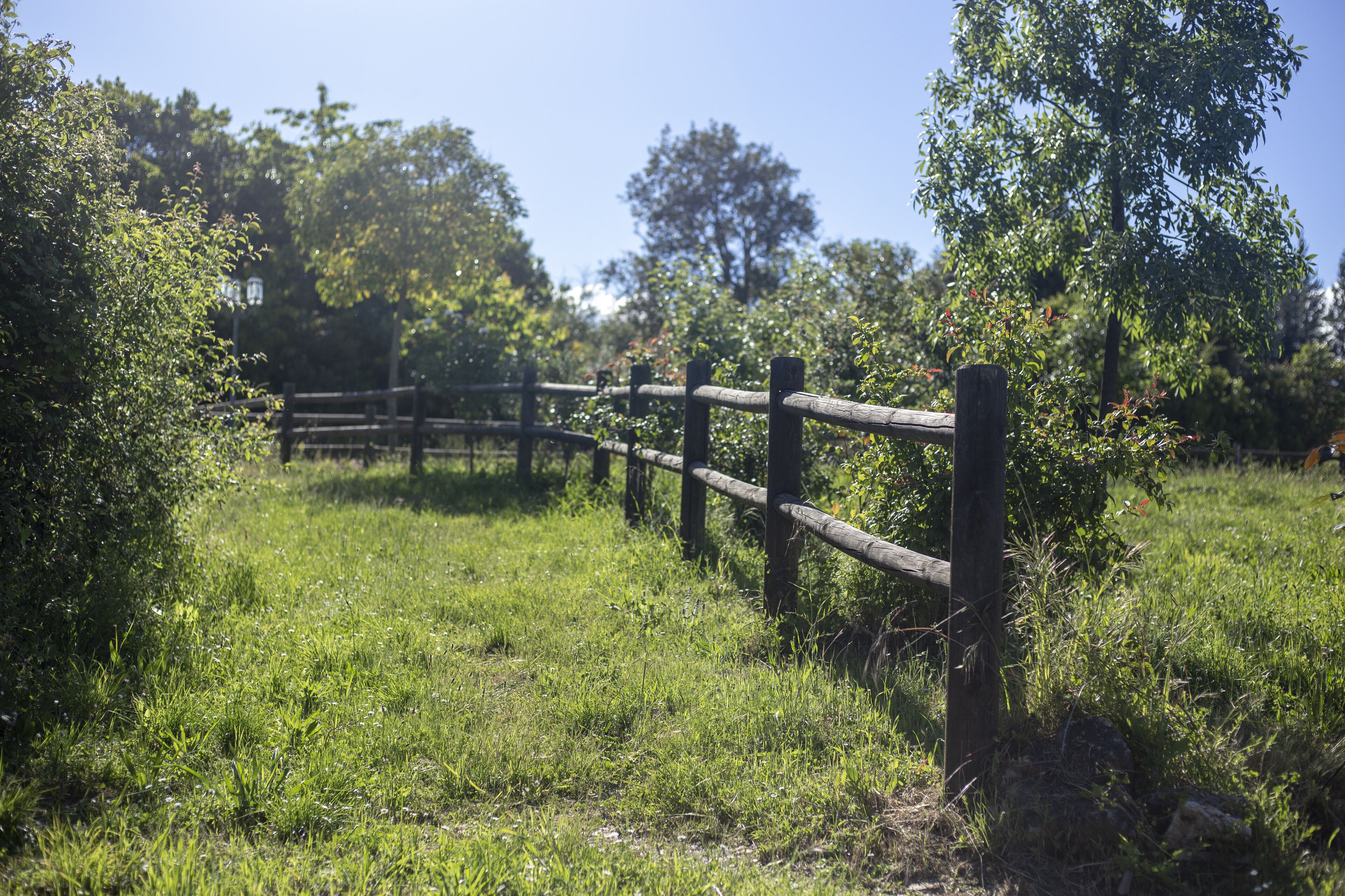 Ruralmédulas Las Medulas - El Bierzo House 3