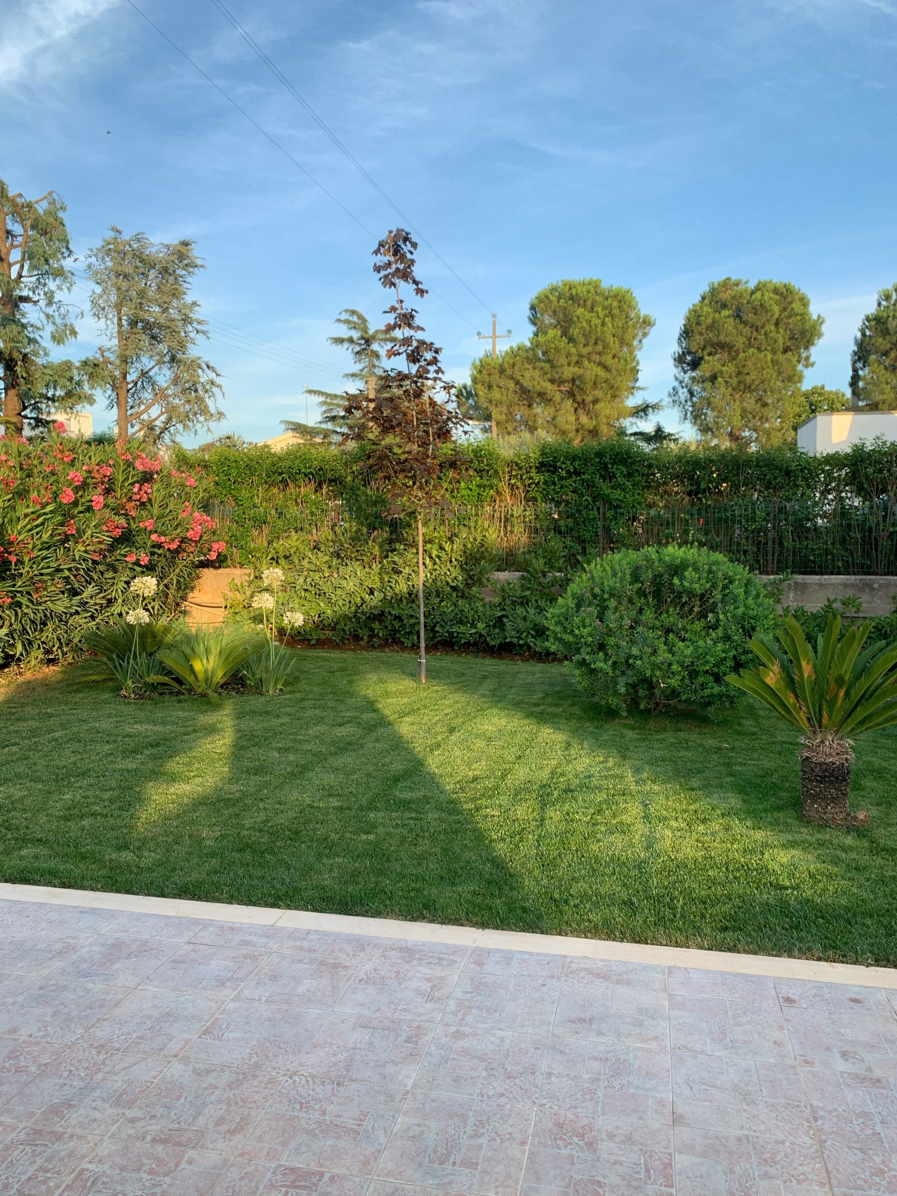 Finely furnished villa with large patio and garden between Monopoli and Alberobello