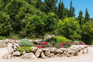 Jardines del alojamiento