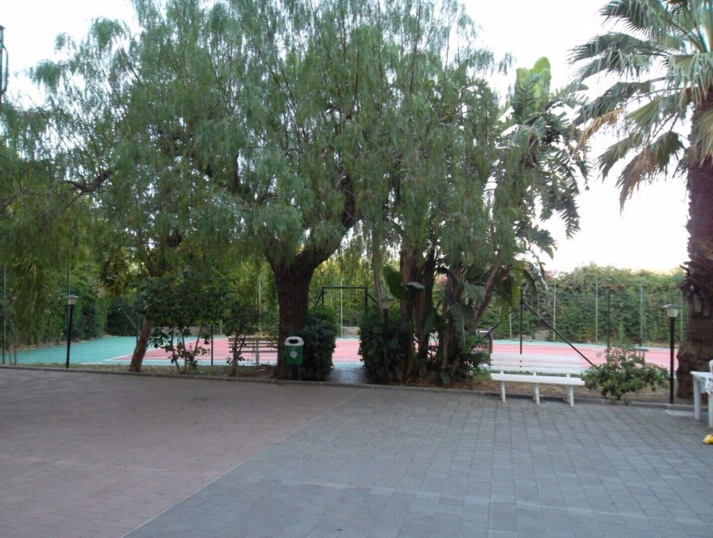 Ein gepflasterter Bereich mit Bänken und Bäumen, im Hintergrund ein Sportplatz und ein Mülleimer.