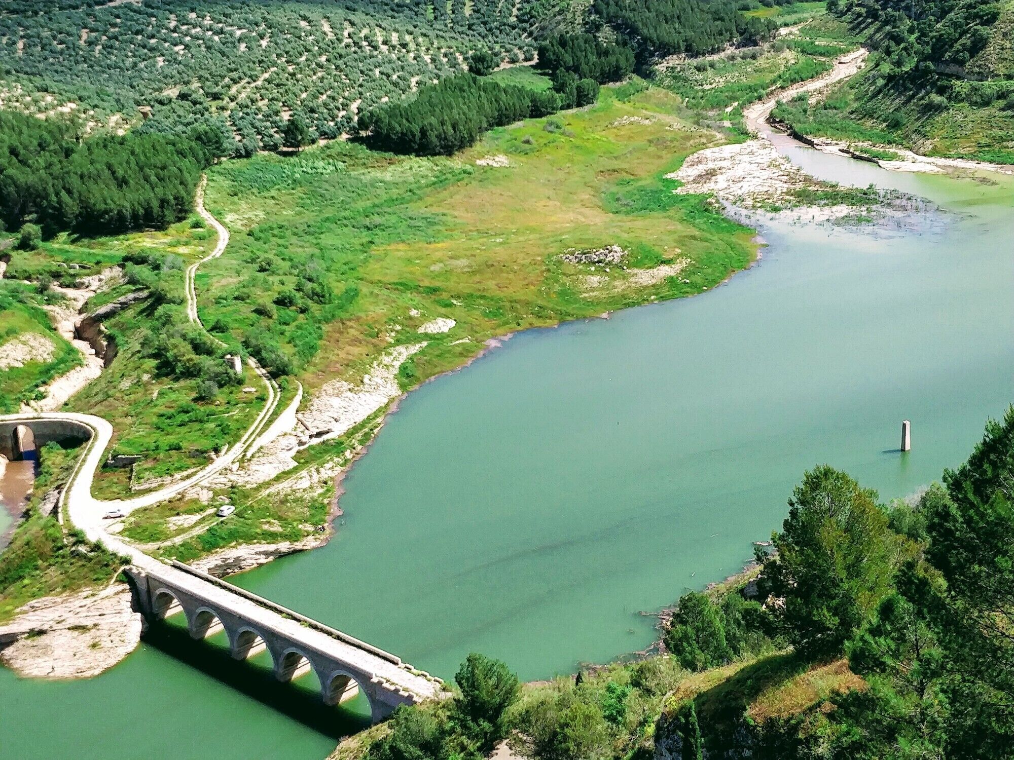 Une rivière avec un pont et une zone boisée.