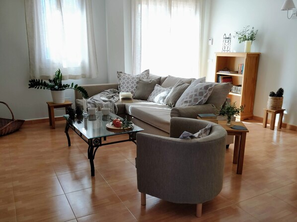 Smart TV, fireplace, DVD player, books