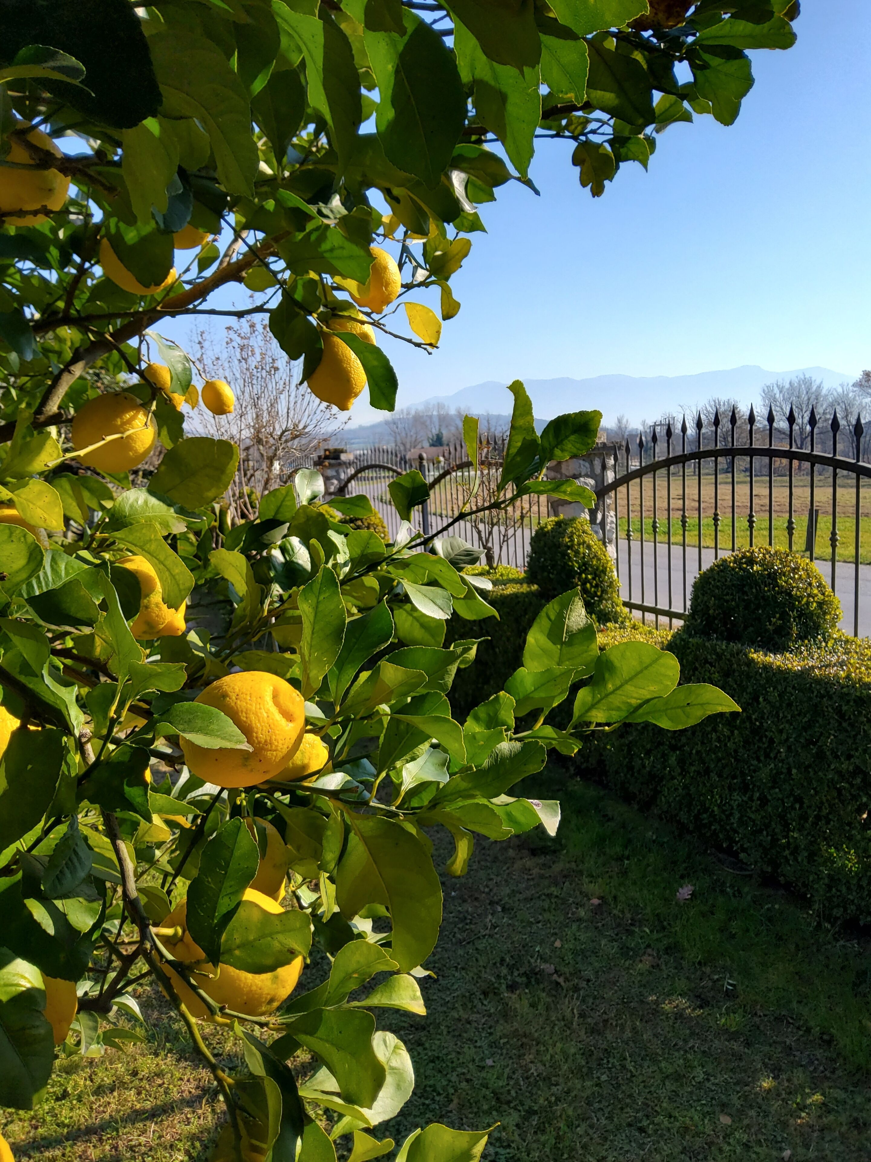 Enceinte de l’hébergement