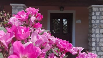 DĂ©tail de lâextĂ©rieur