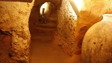 Dutxa, banyera d'hidromassatge, assecador de cabells i bidet