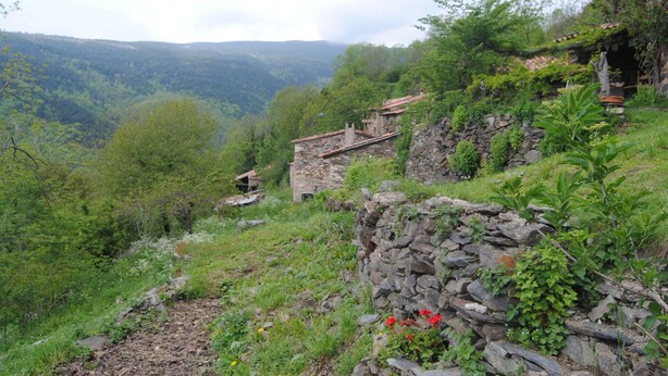 A stone building with a sloped roof, surrounded by lush greenery and hills in the background. - Country house in Vall de Camprodon (Llanars)