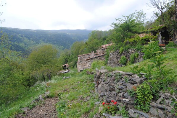 المنطقة المحيطة بالمنشأة