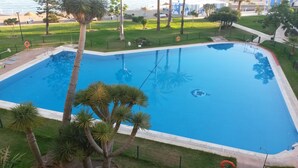 Ein rechteckiger Pool, umgeben von Palmen und einer Rasenfläche.