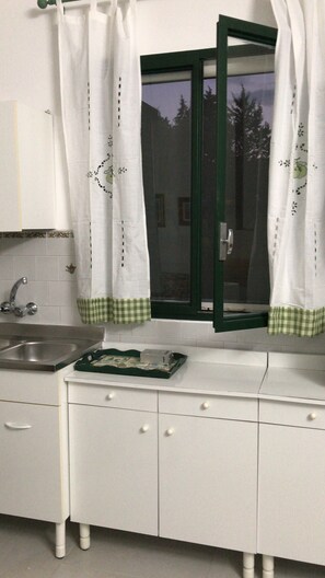 Fridge, oven, stovetop, electric kettle