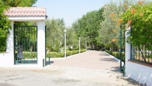 A paved pathway leading to a gated entrance with a small covered area, surrounded by greenery and trees. - VILLA IL CARRUBO-unit2 € 500 per week with 3 bedrooms for 10 persons (Pisticci)