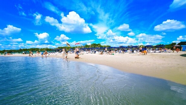 A beach with clear water, sandy shore, and people sunbathing. - VILLA IL CARRUBO-unit2 € 500 per week with 3 bedrooms for 10 persons (Pisticci)
