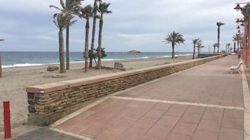 Un paseo marítimo con palmeras, un muro de piedra y una playa al fondo.