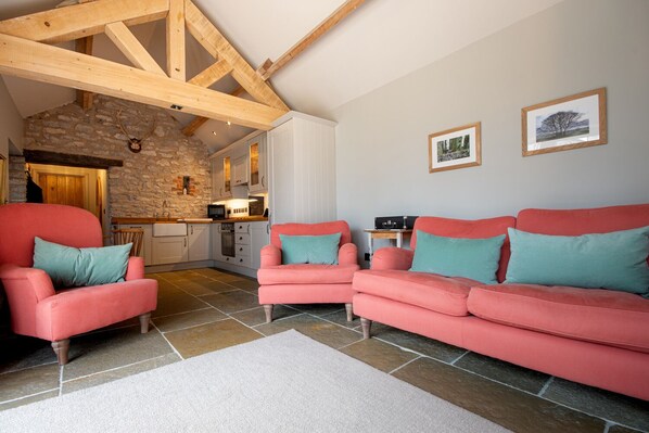 Älytelevisio, takka, pöytätennispöytä, kirjoja