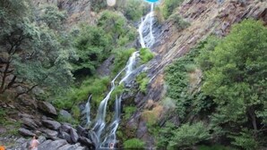 Une cascade se jetant dans un bassin, entouré d’un paysage rocheux et d’une végétation luxuriante.