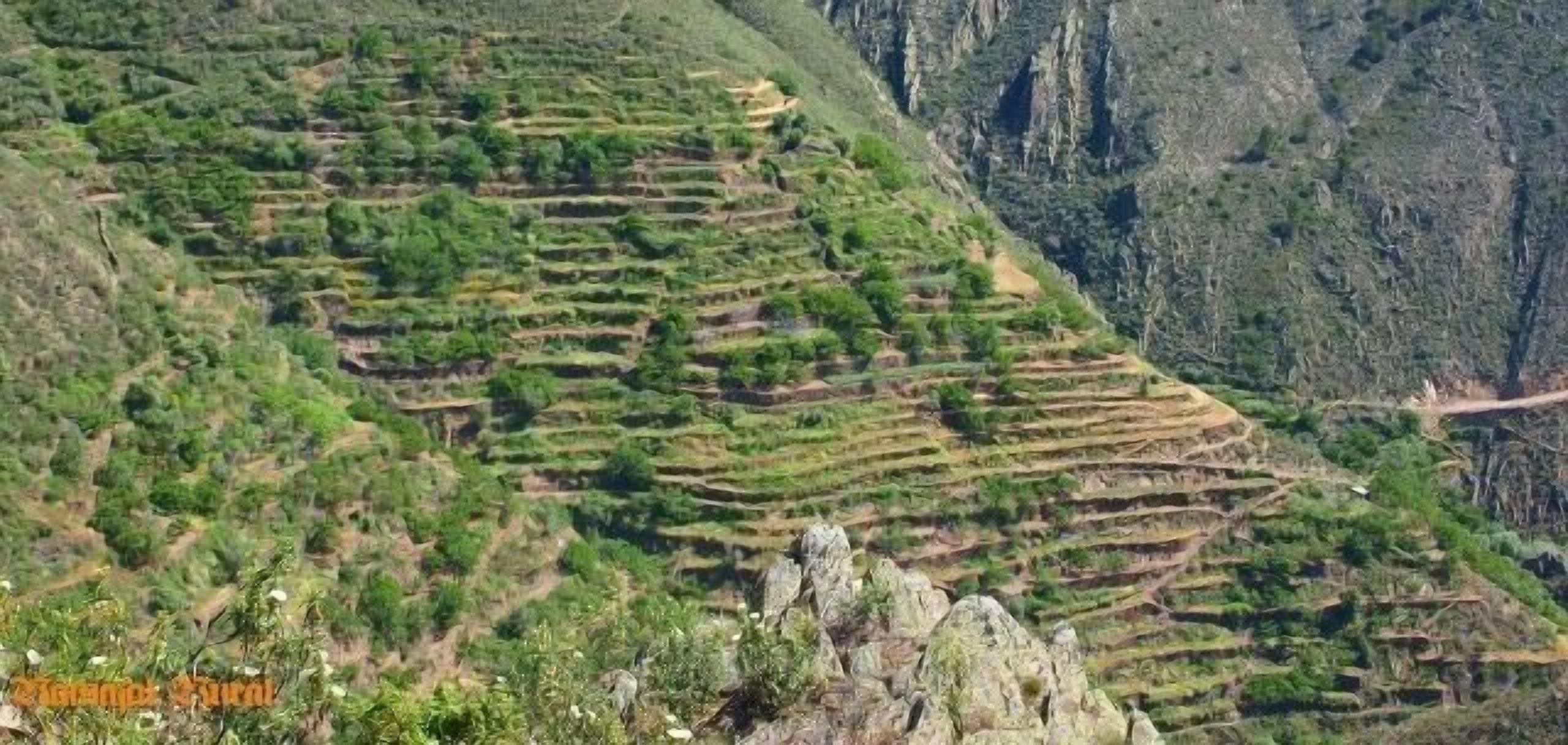 Rural apartment Ramajal Rural for 2 people