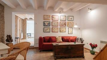 智能電視、書籍