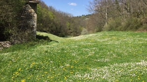 Une structure en pierre, entourée d’un champ verdoyant parsemé de fleurs sauvages, avec des arbres en arrière-plan.