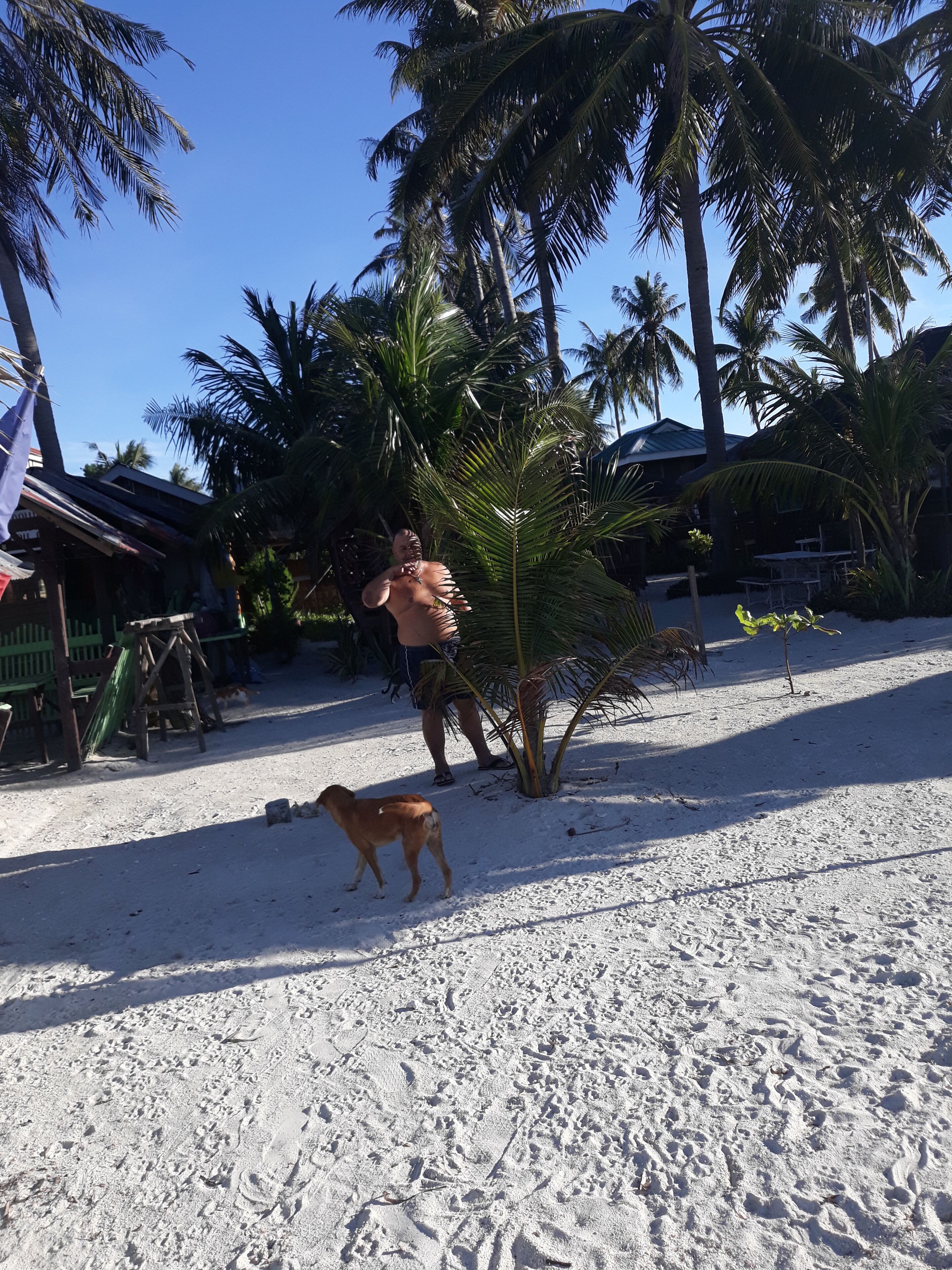 A and D Beach House for a different holiday, we are on site at your disposal