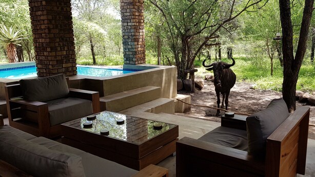 Un espace aménagé au bord de la piscine, avec des sièges d’extérieur et une statue de taureau.