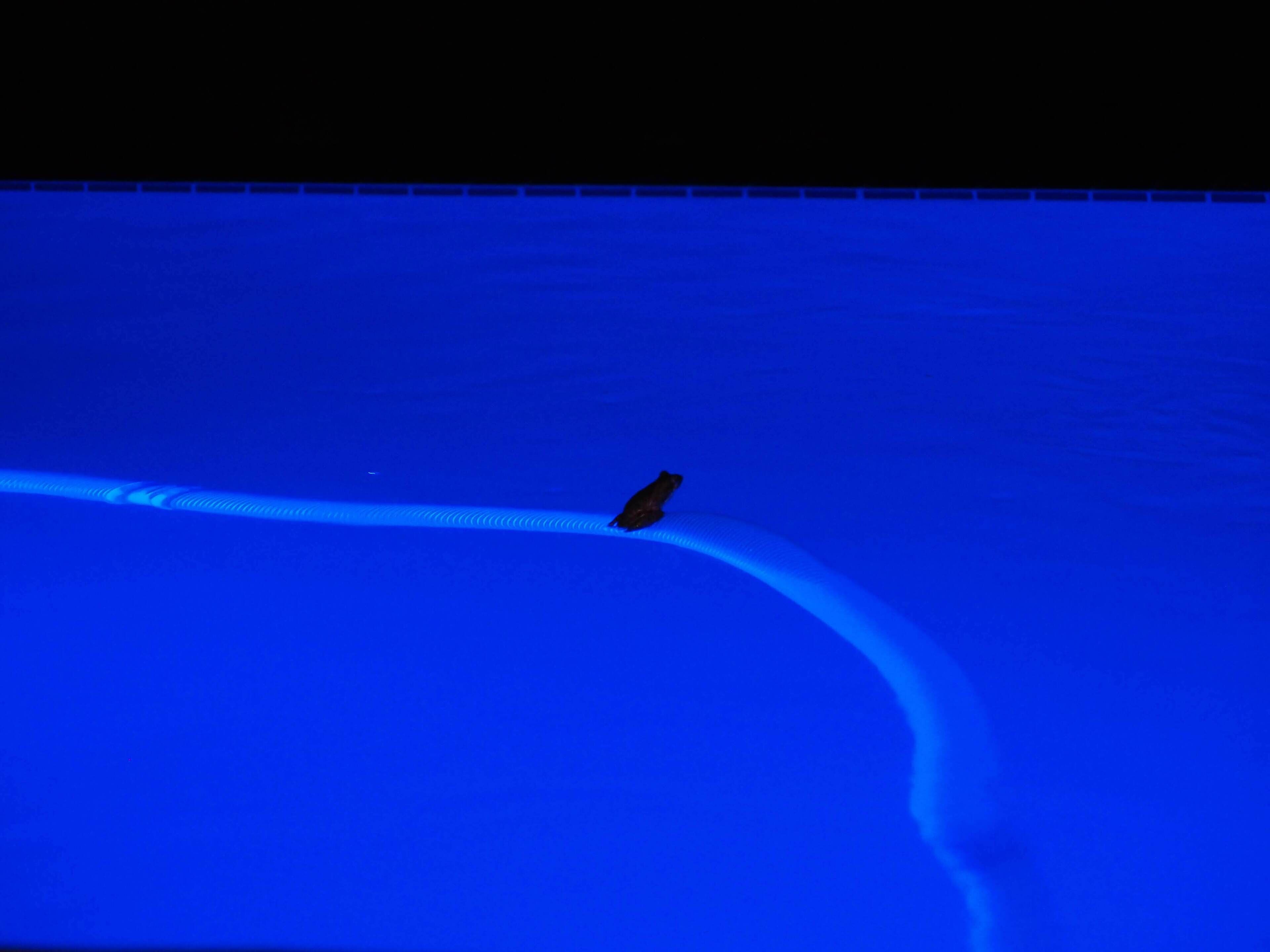 A person walking along a curved path in a blue-lit area.