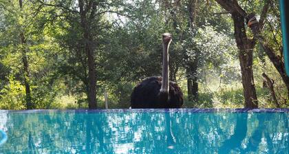 La casa de vacaciones Wild Bunch